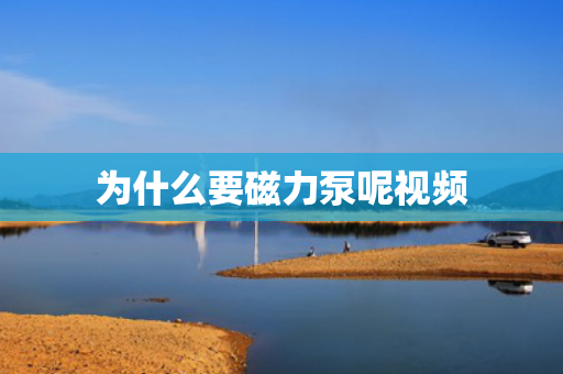為什么要磁力泵呢視頻