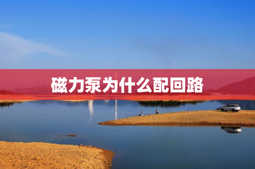 磁力泵為什么配回路