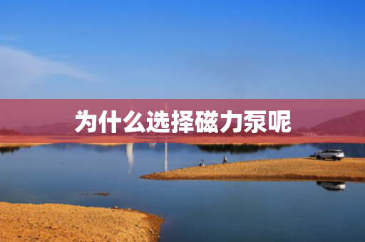 為什么選擇磁力泵呢
