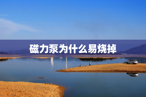 磁力泵為什么易燒掉