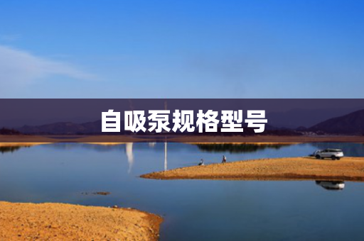 自吸泵規(guī)格型號