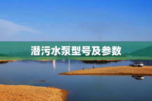 潛污水泵型號及參數(shù)