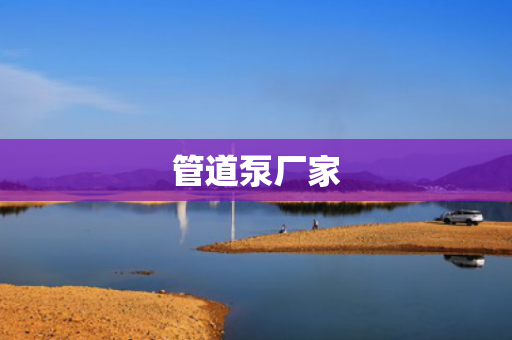 管道泵廠家