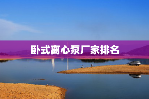 臥式離心泵廠家排名