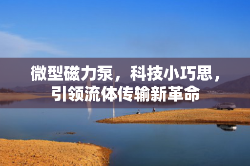 微型磁力泵<div   id=