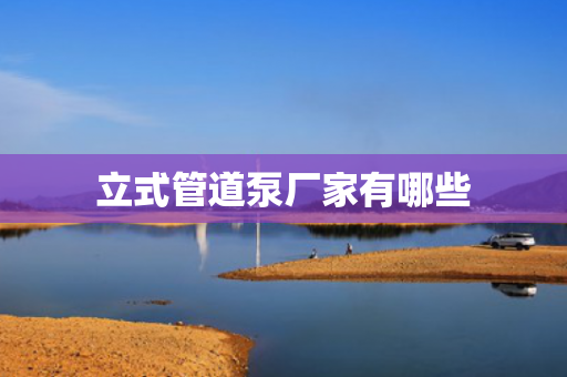立式管道泵廠家有哪些