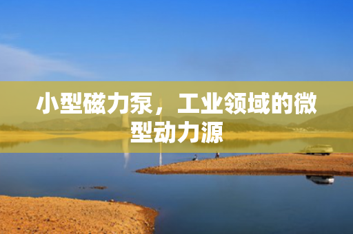 小型磁力泵，工業(yè)領域的微型動力源