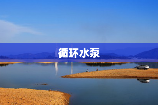 循環(huán)水泵