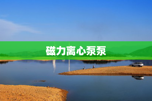 磁力離心泵泵