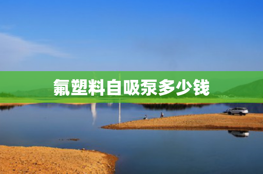 氟塑料自吸泵多少錢(qián)