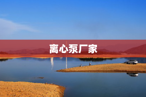 離心泵廠家