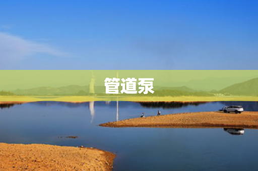 管道泵