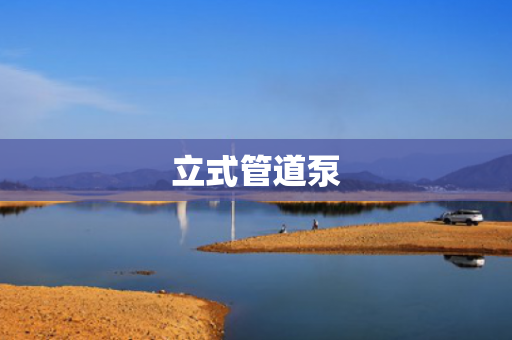 立式管道泵
