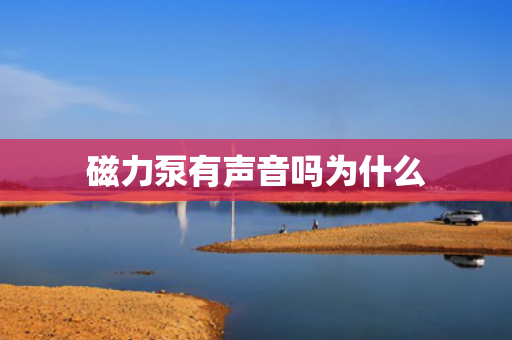 磁力泵有聲音嗎為什么