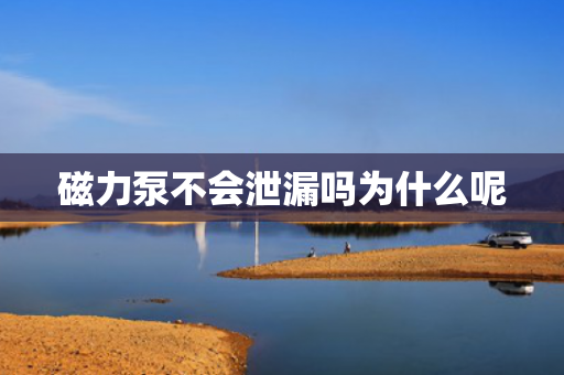 磁力泵不會泄漏嗎為什么呢