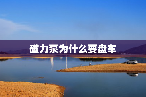 磁力泵為什么要盤車