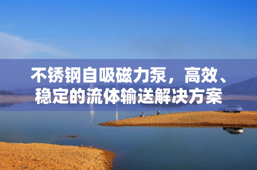 不銹鋼自吸磁力泵，高效<div   id=