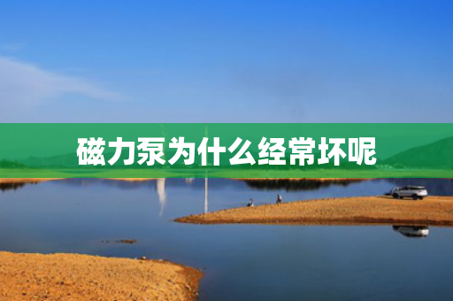 磁力泵為什么經(jīng)常壞呢