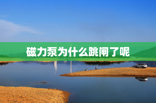 磁力泵為什么跳閘了呢