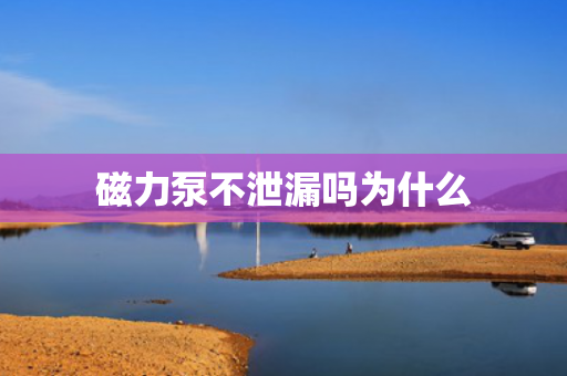 磁力泵不泄漏嗎為什么