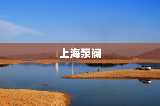 上海泵閥
