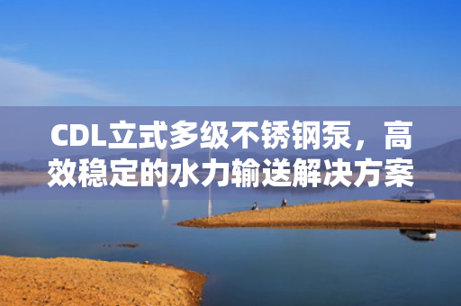 CDL立式多級(jí)不銹鋼泵<div   id=