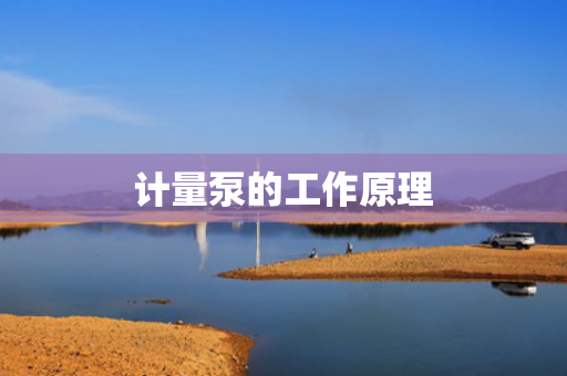 計(jì)量泵的工作原理