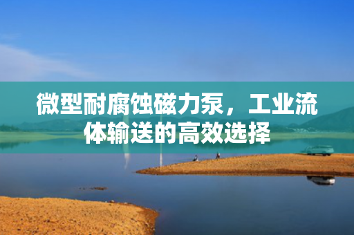 微型耐腐蝕磁力泵，工業(yè)流體輸送的高效選擇