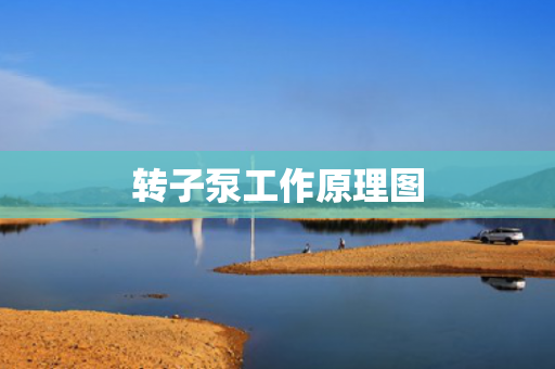 轉(zhuǎn)子泵工作原理圖
