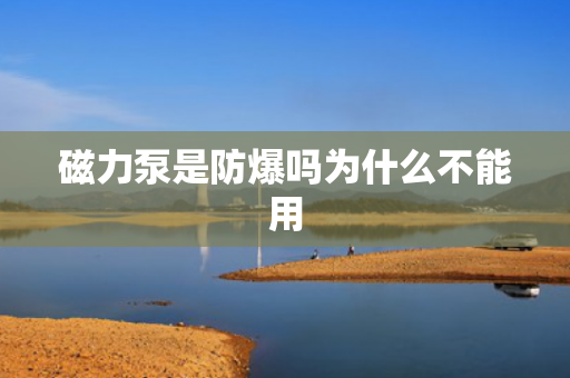 磁力泵是防爆嗎為什么不能用