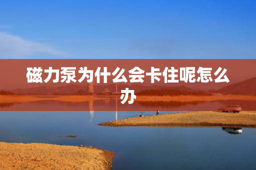 磁力泵為什么會(huì)卡住呢怎么辦