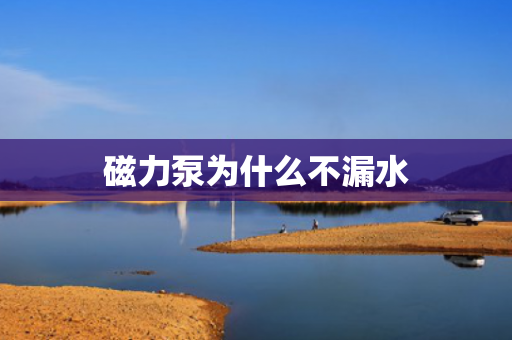 磁力泵為什么不漏水