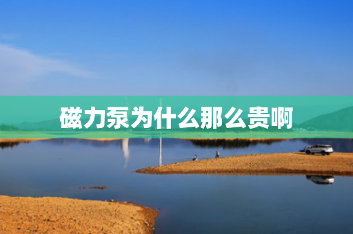磁力泵為什么那么貴啊