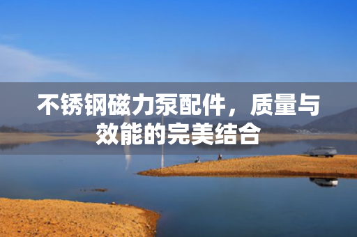 不銹鋼磁力泵配件<div   id=