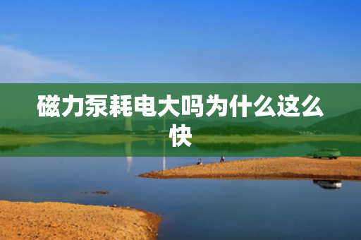磁力泵耗電大嗎為什么這么快