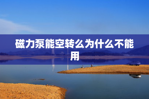 磁力泵能空轉(zhuǎn)么為什么不能用