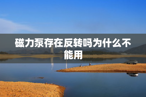 磁力泵存在反轉(zhuǎn)嗎為什么不能用