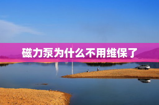 磁力泵為什么不用維保了