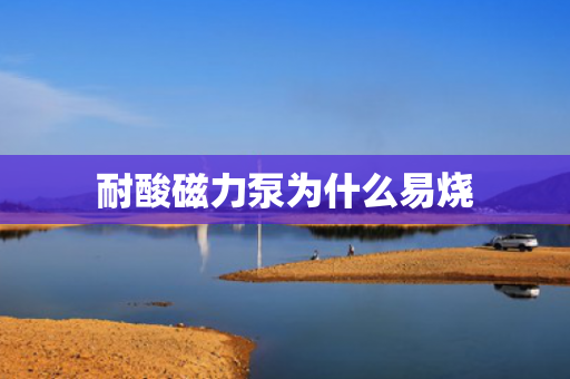 耐酸磁力泵為什么易燒