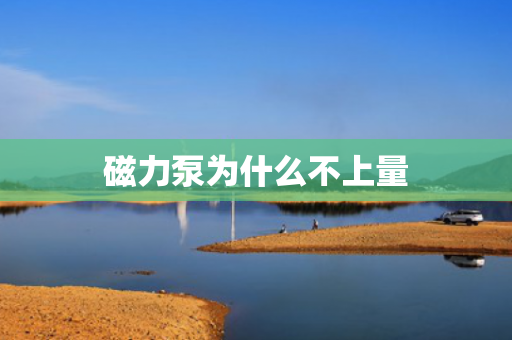 磁力泵為什么不上量