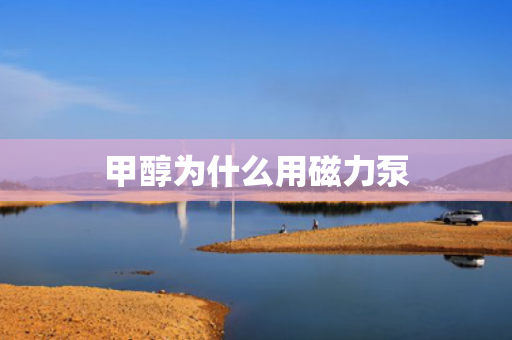 甲醇為什么用磁力泵