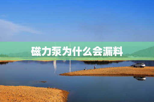 磁力泵為什么會(huì)漏料