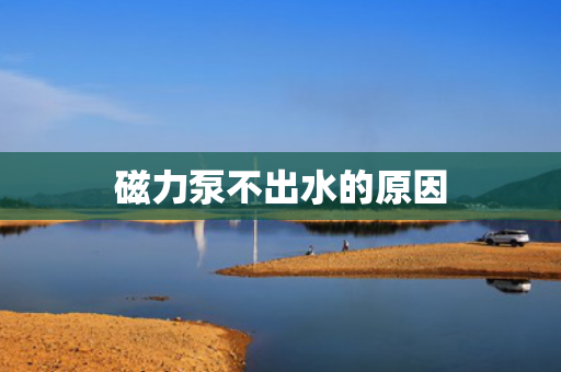 磁力泵不出水的原因