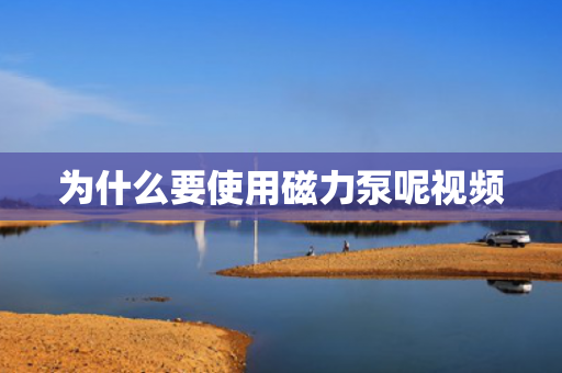 為什么要使用磁力泵呢視頻