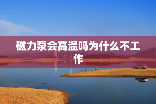 磁力泵會(huì)高溫嗎為什么不工作