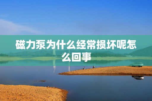 磁力泵為什么經(jīng)常損壞呢怎么回事