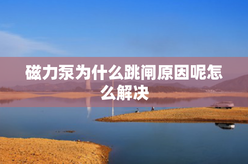 磁力泵為什么跳閘原因呢怎么解決