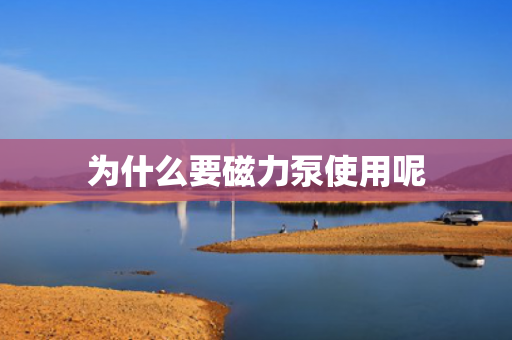 為什么要磁力泵使用呢
