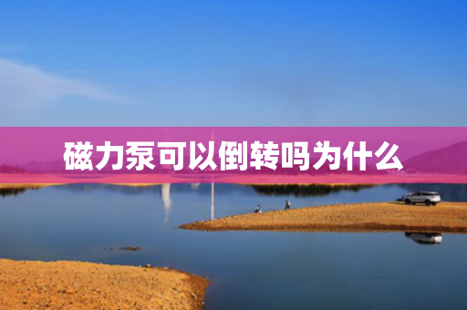 磁力泵可以倒轉(zhuǎn)嗎為什么