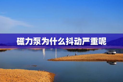 磁力泵為什么抖動嚴(yán)重呢